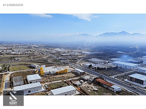 Fotoğraf