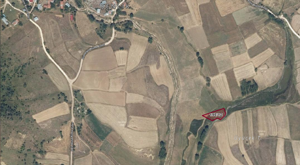 Fotoğraf