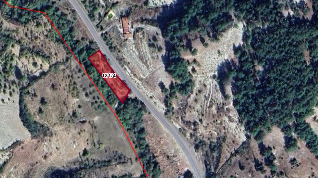 Fotoğraf