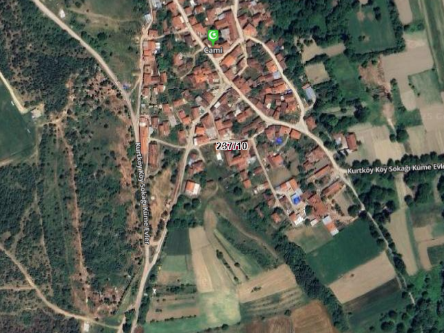 Fotoğraf