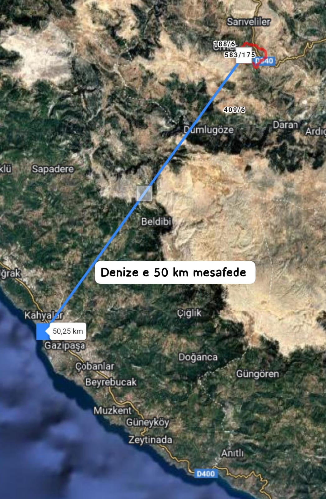 Fotoğraf