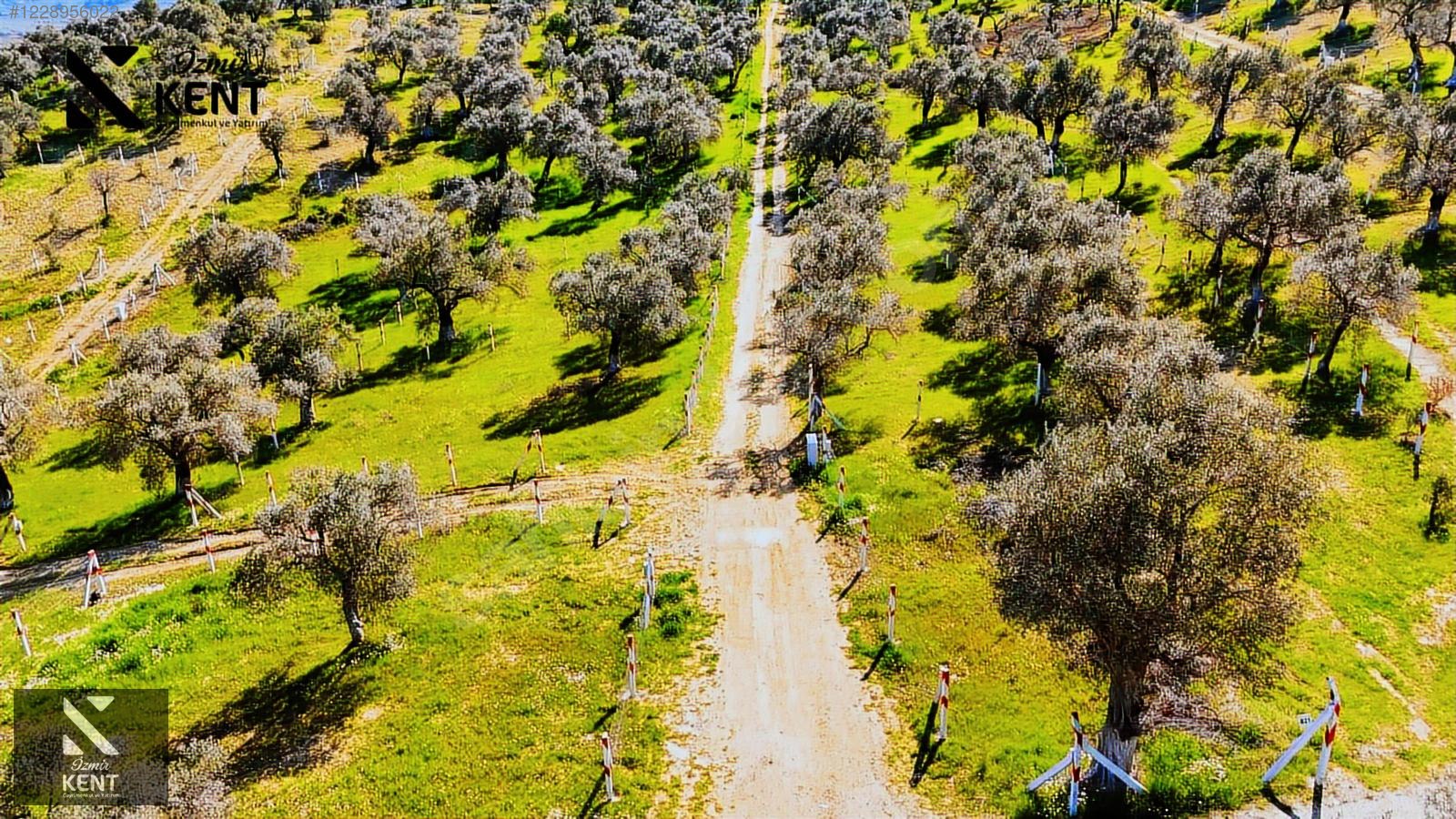Fotoğraf