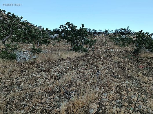 İlan Fotoğrafı