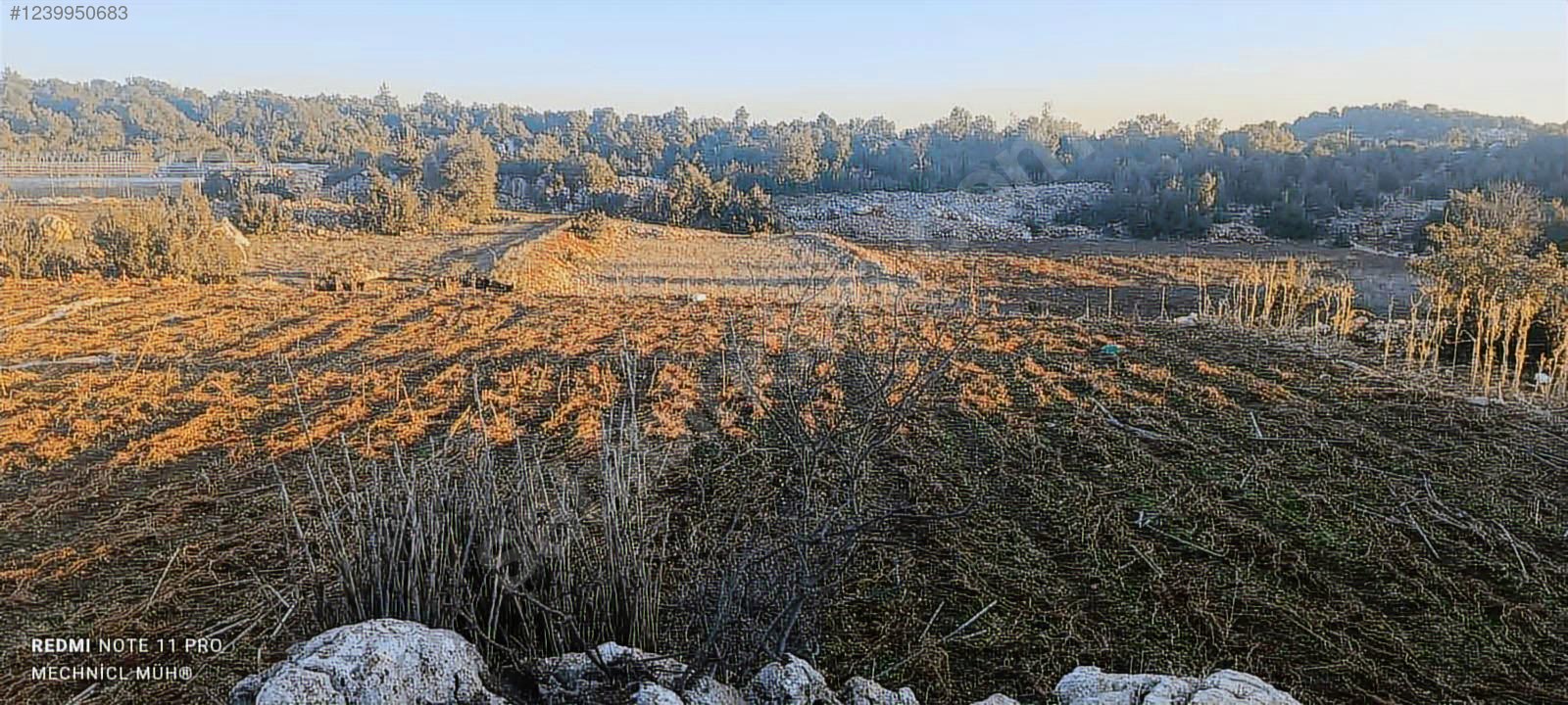 İlan Fotoğrafı