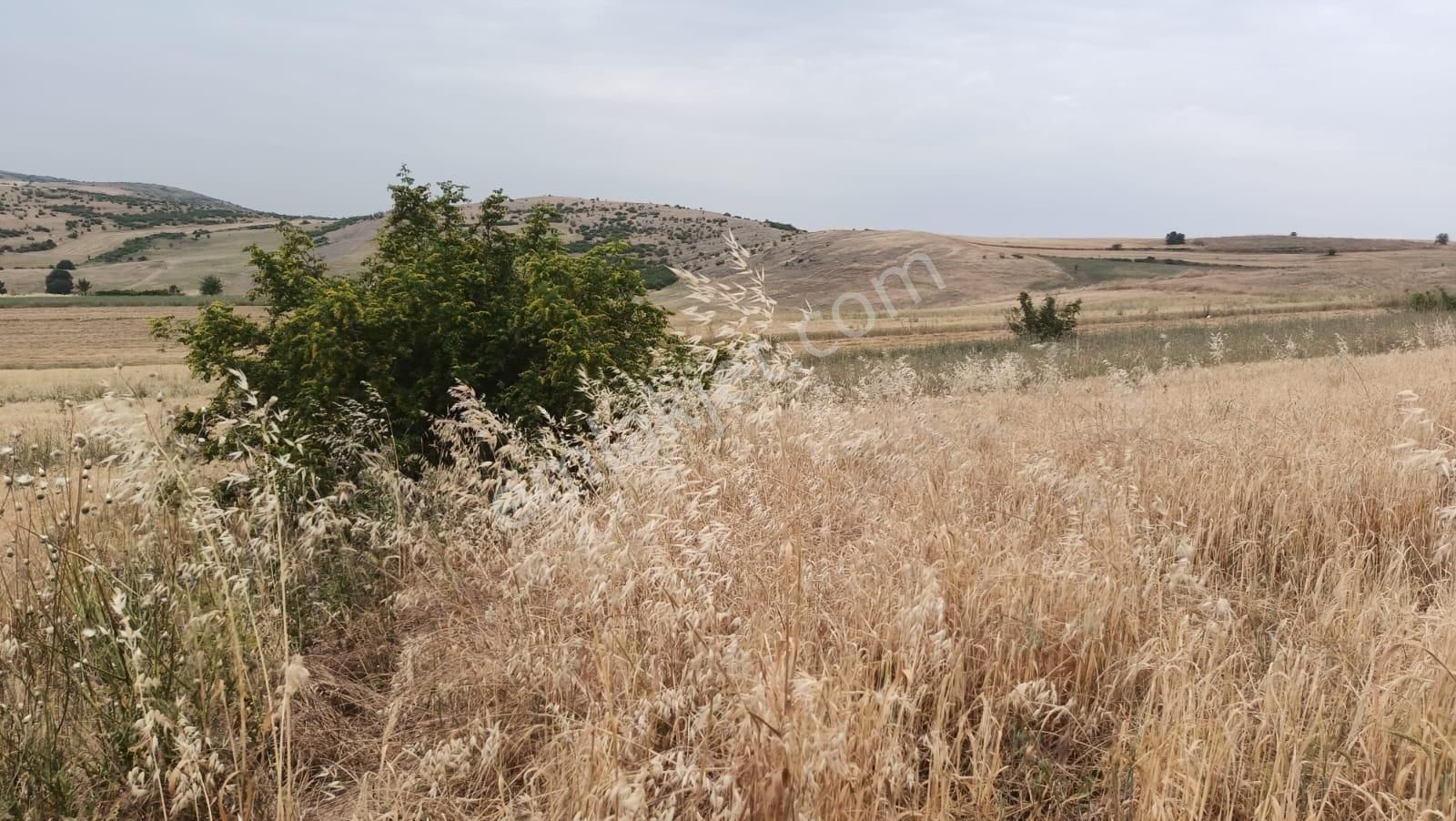 İlan Fotoğrafı