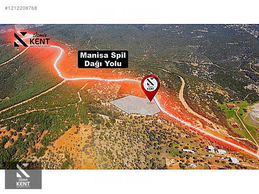 Fotoğraf