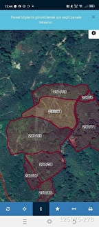 perşembe boğazcık köyü satılık, onbir dönüm fındık bahçesi.11779m2