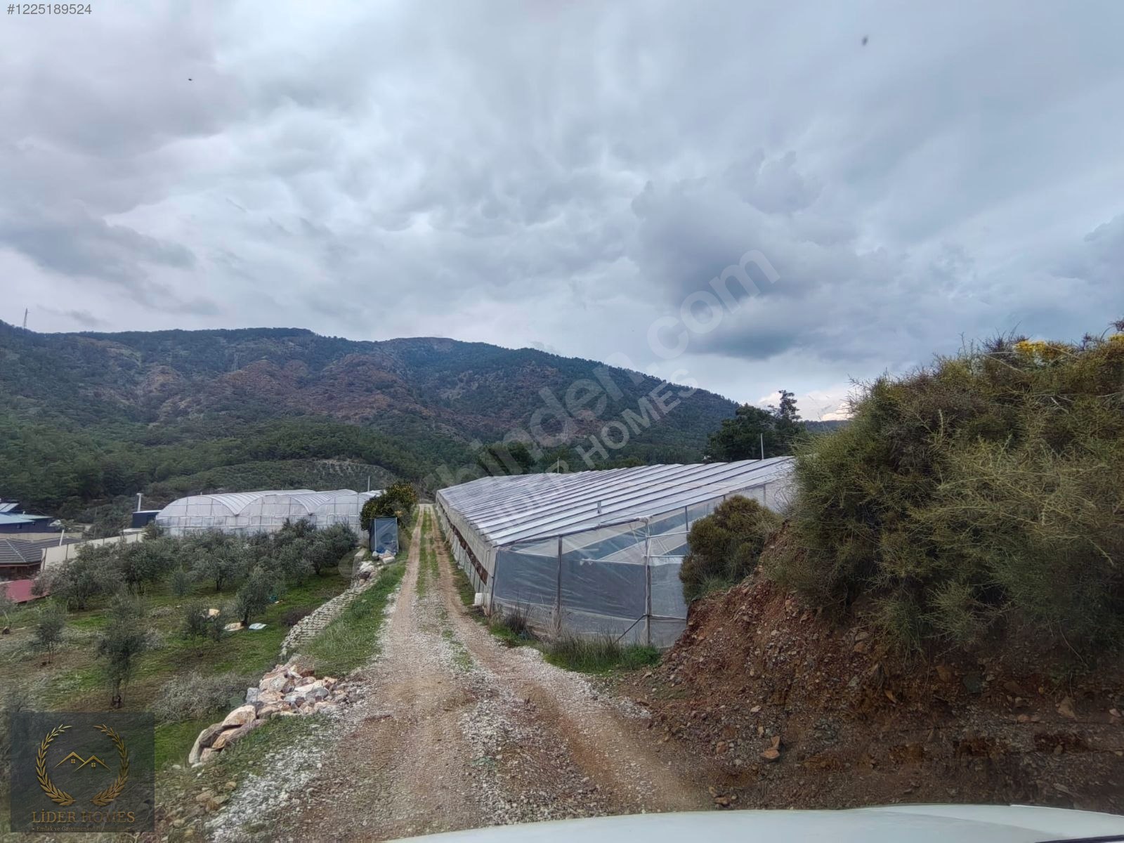 İlan Fotoğrafı