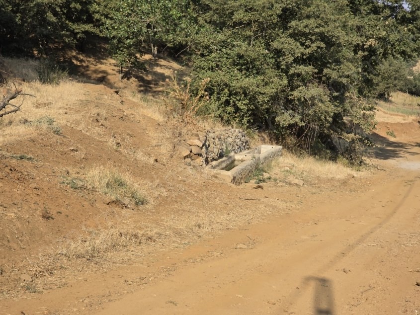 Fotoğraf