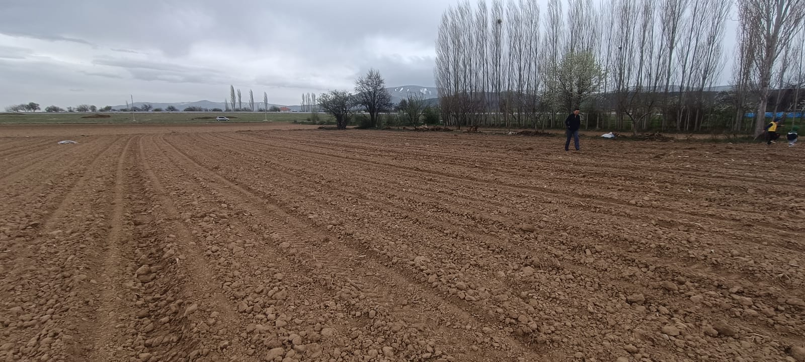 Fotoğraf