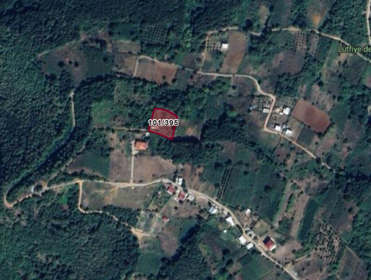 Fotoğraf