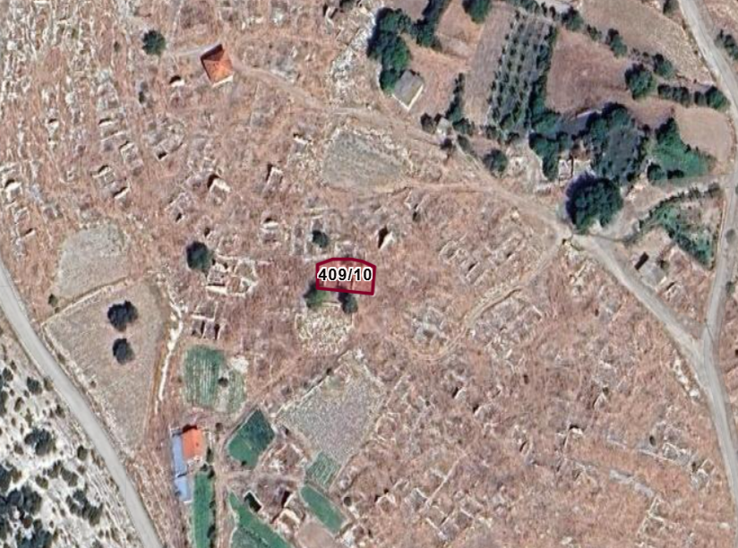 Fotoğraf