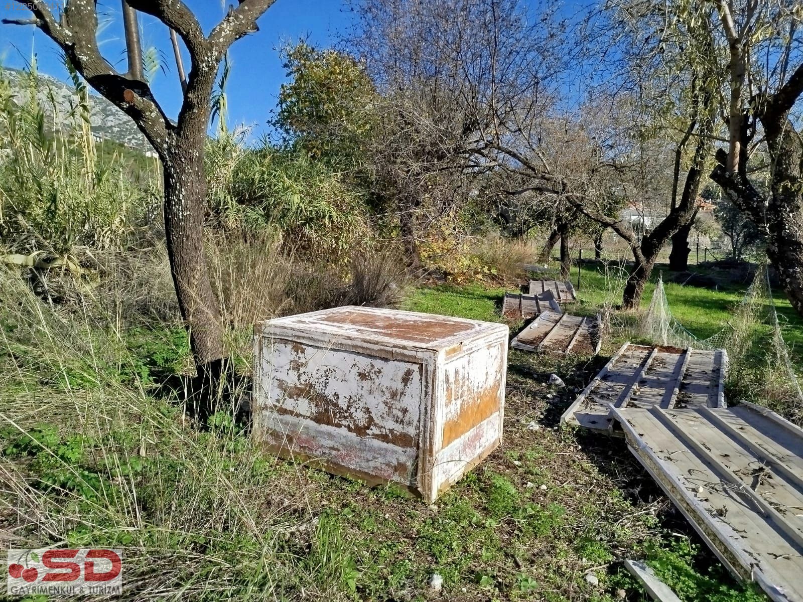 İlan Fotoğrafı