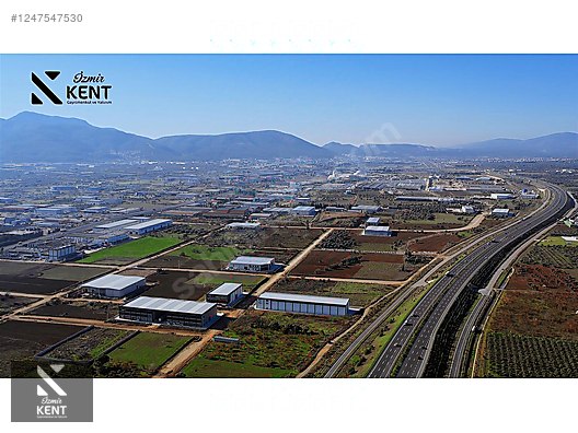 Fotoğraf