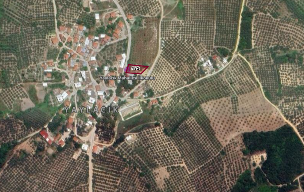 Fotoğraf