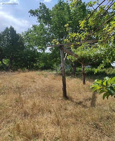 İlan Fotoğrafı