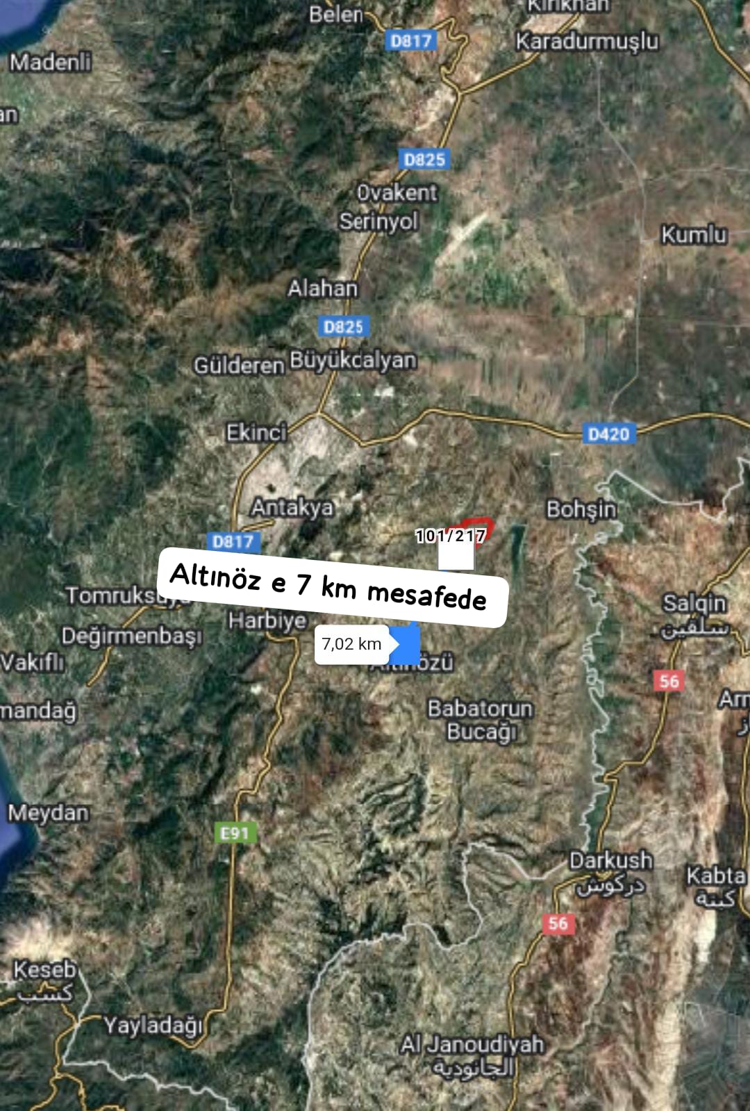 Fotoğraf