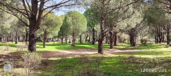 İlan Fotoğrafı