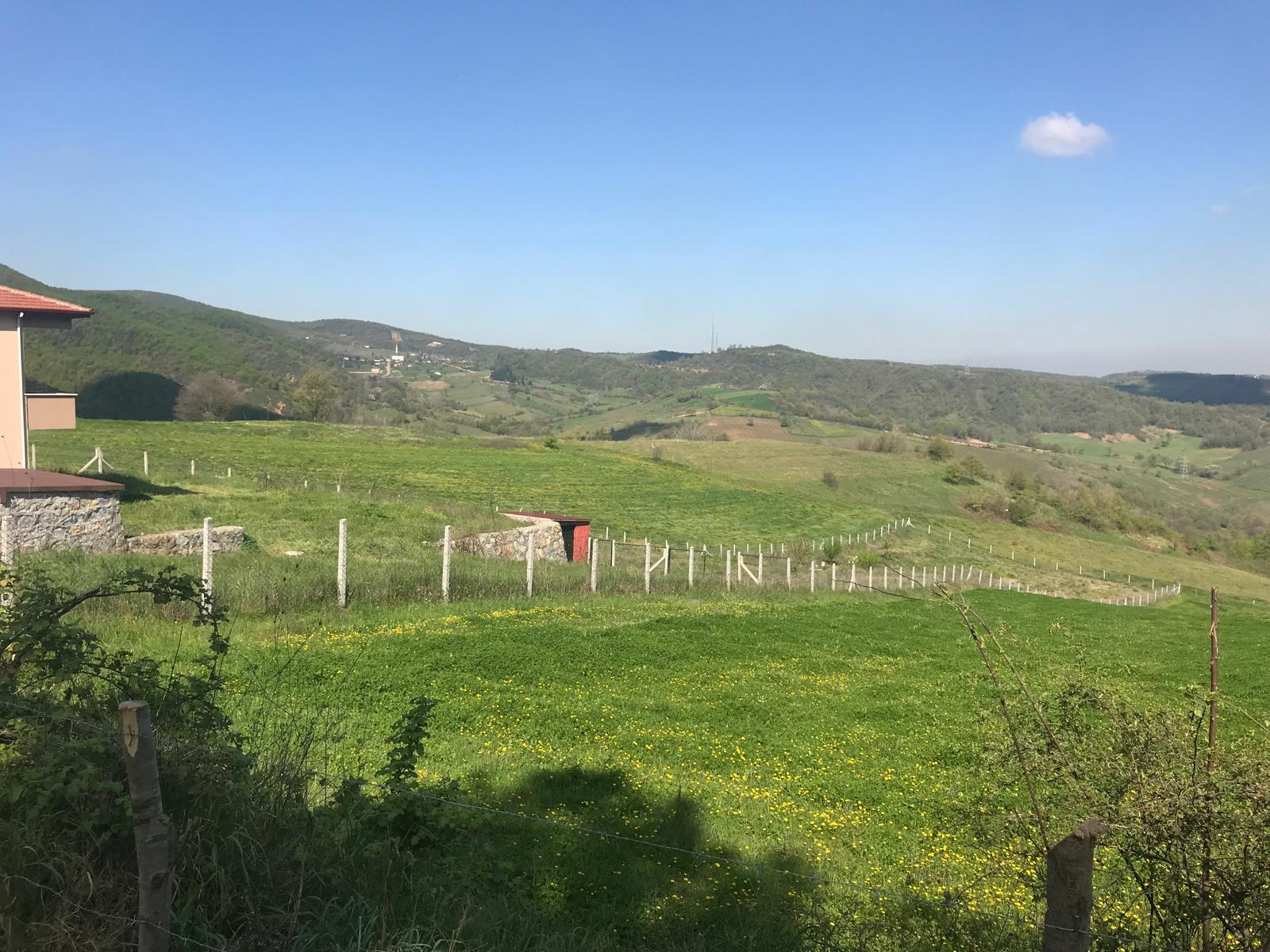 Fotoğraf