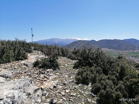 İlan Fotoğrafı