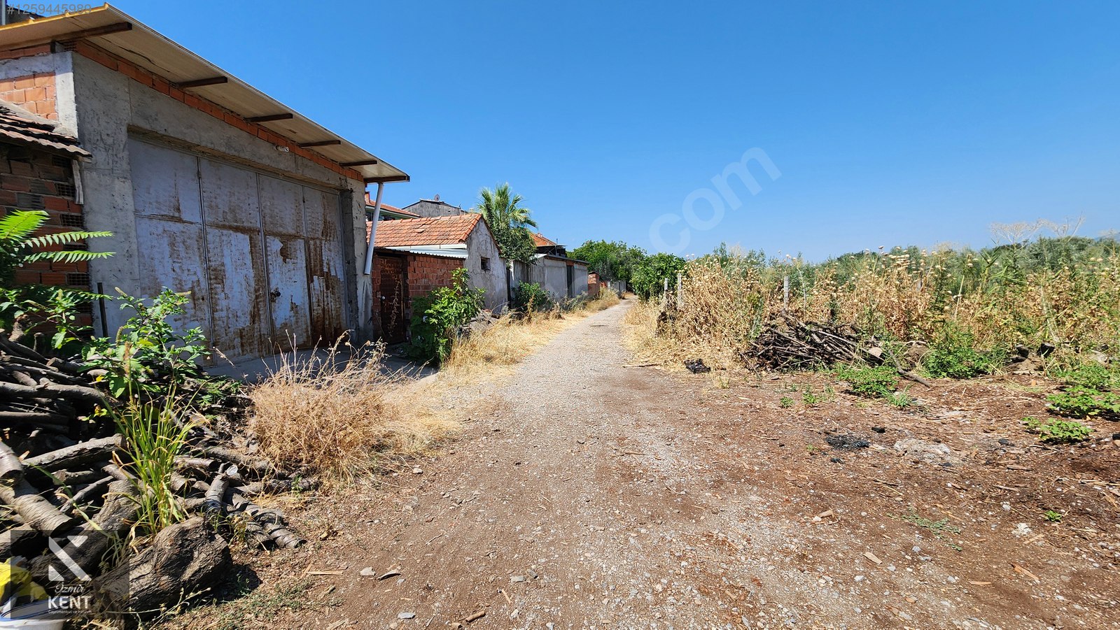 Fotoğraf