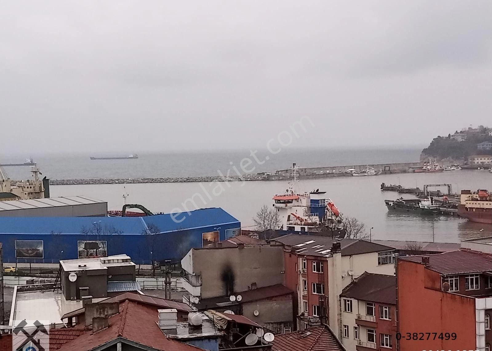 Fotoğraf