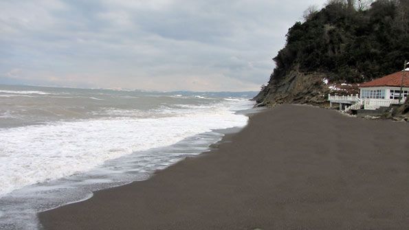 Fotoğraf