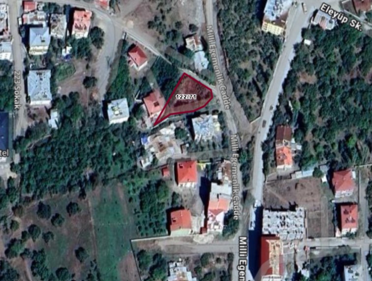 Fotoğraf