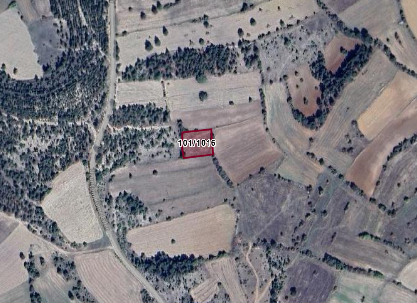 İlan Fotoğrafı