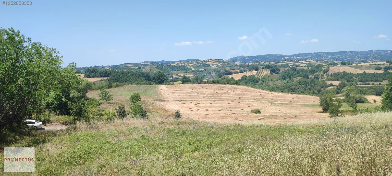 İlan Fotoğrafı
