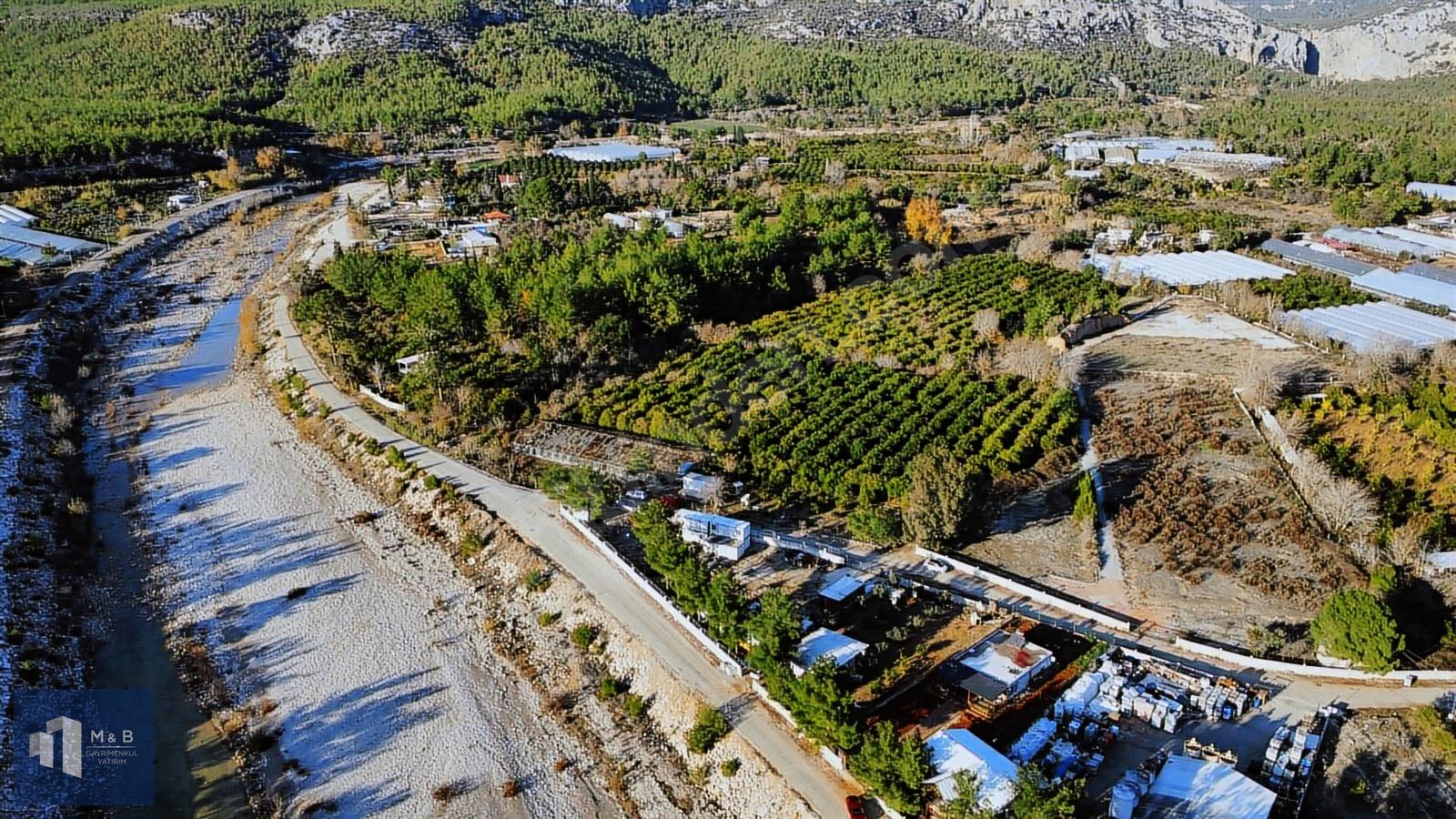 Fotoğraf