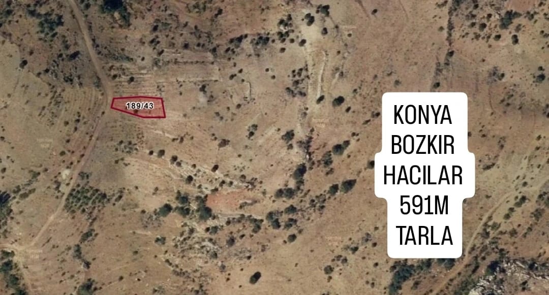 Fotoğraf