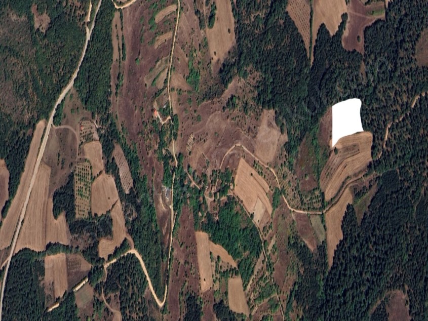 Fotoğraf
