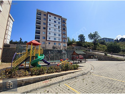 Fotoğraf