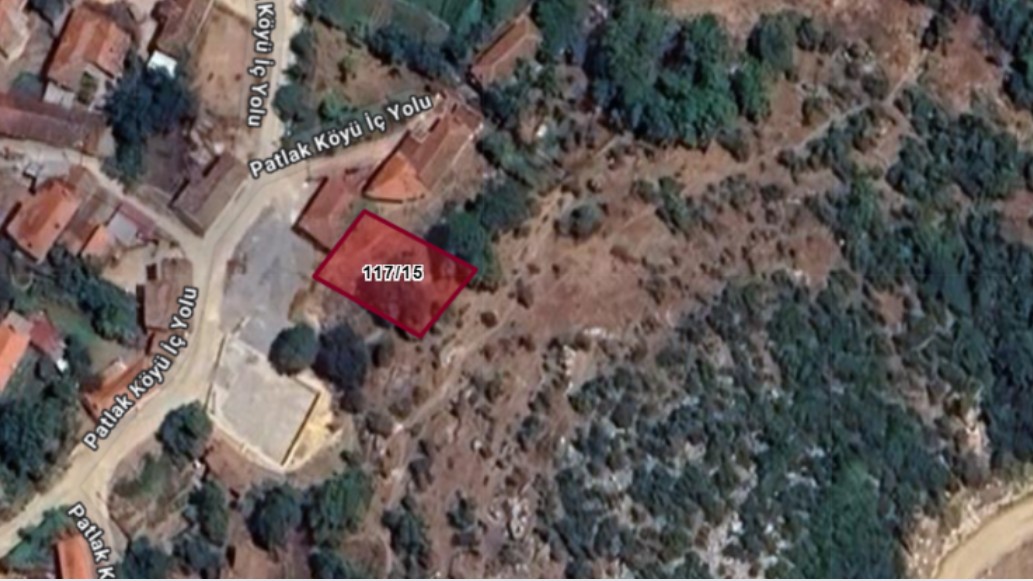 Fotoğraf