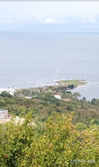 perşembe çaytepe mahallesinde imarlı fındık bahçesi