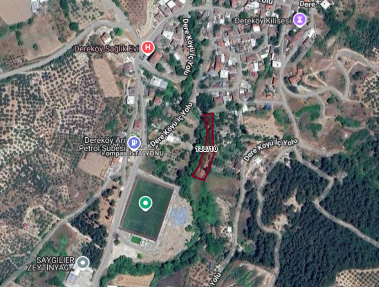 Fotoğraf
