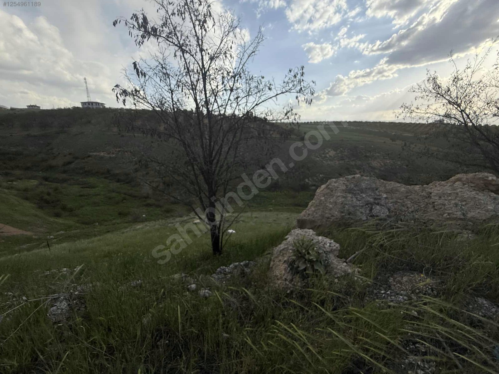 Fotoğraf