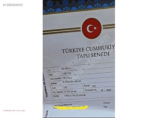 ISPARTA YALVAÇ ÇETİNCEDE 13500 M2 İÇİNDE 100 KADAR YETİŞMİŞ ELMA