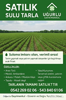 İlan Fotoğrafı