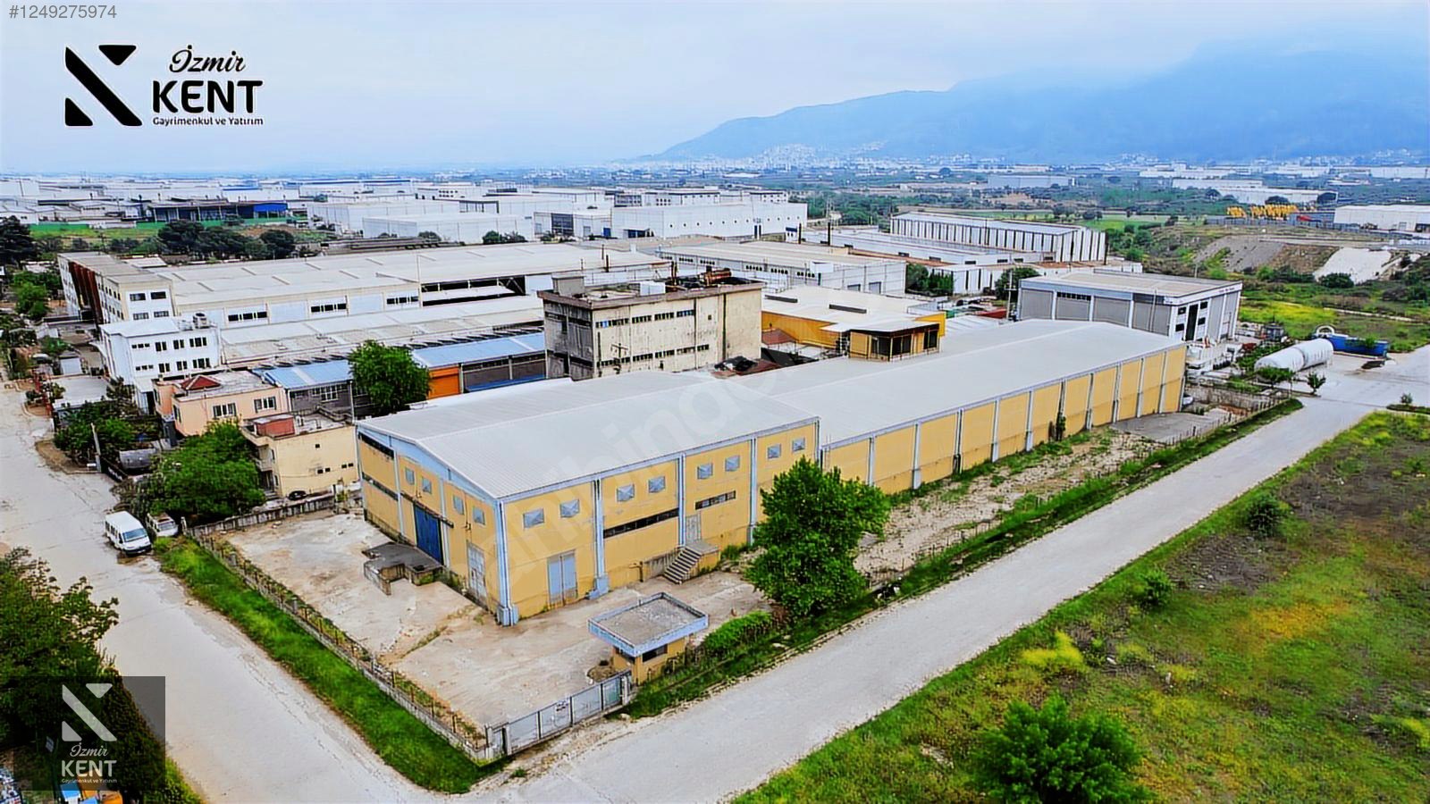 Fotoğraf