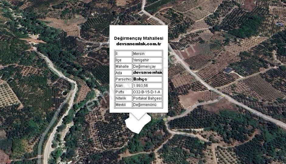 İlan Fotoğrafı