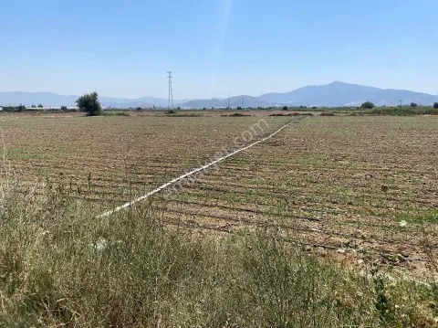 İzmir Torbalı Şehitlere 11.300m2