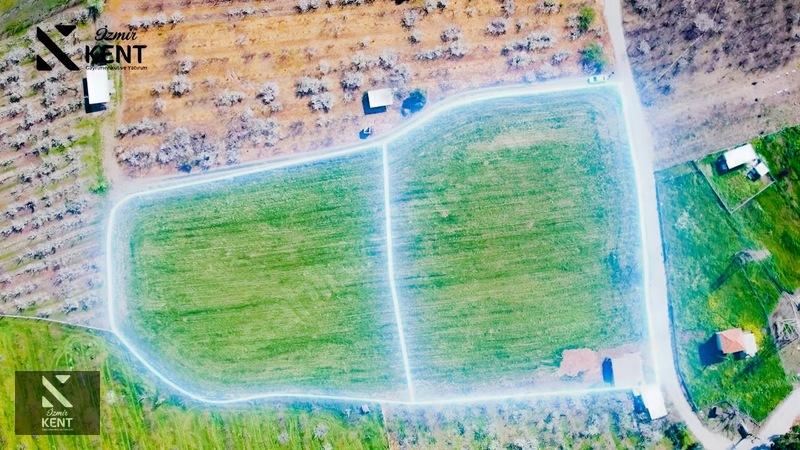Kemalpaşa Ören 75. Yıl Satılık 8770 m2 Tek Tapu Tarla