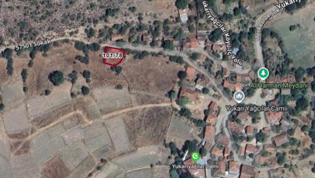Fotoğraf