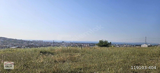 Fotoğraf