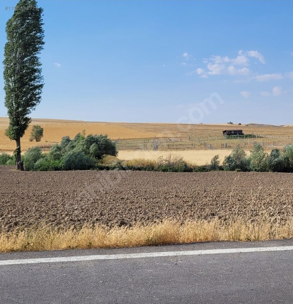 İlan Fotoğrafı