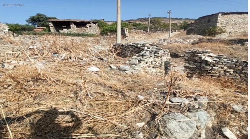 Fotoğraf