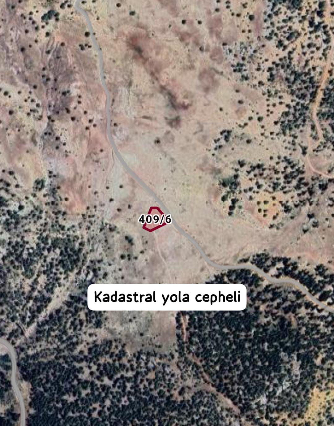 Fotoğraf