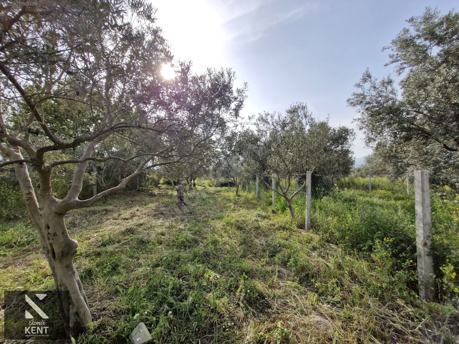 Fotoğraf